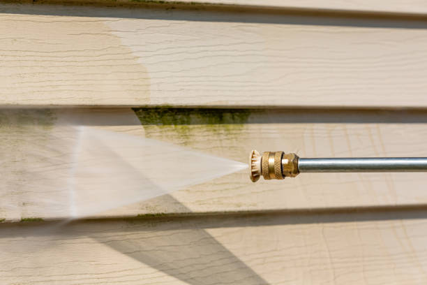 Best Roof Power Washing Services  in Kemah, TX